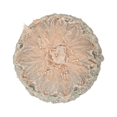 Floral fall Accent round